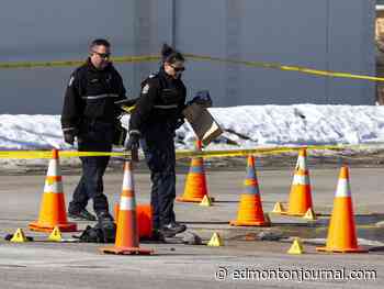 Temitope Oriola: Buying back guns an avenue to reducing violent crime