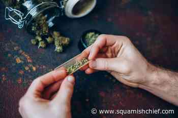 BC government seeks thoughts on cannabis consumption spaces - Squamish Chief