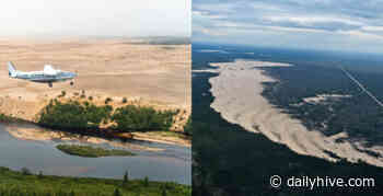 These massive 12-metre tall sand dunes in Alberta are a must-visit (PHOTOS) | Curated - Daily Hive