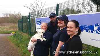 RSPCA's local branch could close due to finance issues - St Helens Star