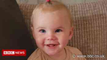 St Helens dog attack: Girl aged 17 months killed at home - BBC
