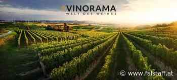 Exklusives VINORAMA Zweigelt Gewinnspiel: 100 Jahre - 100 Magnums