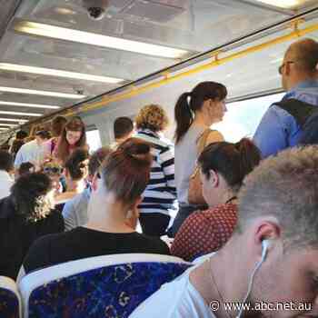 Public transport as a public space - Self Improvement Wednesday - ABC News