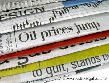 Poultry producers face ongoing high feed, energy, transport costs and AI challenges - FeedNavigator.com