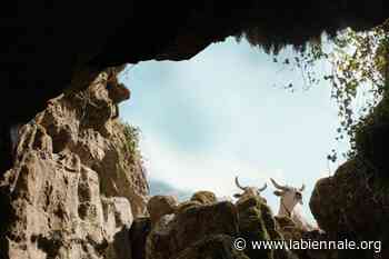 Biennale Cinema 2022 | La rassegna Venice in Seoul con 9 film italiani della 78. Mostra - La Biennale di Venezia