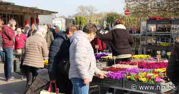 Wedstrijd tijdens Maand van de Markt in Duffel: “Hoofdprijs is een fiets” - Het Laatste Nieuws