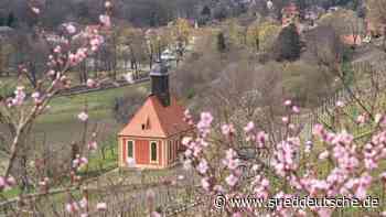 Tourismus - Dresden - Nachwuchs gesucht: Tourismusbranche wirbt um Jugendliche - Gesellschaft - Süddeutsche Zeitung - SZ.de