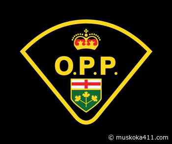 Witnesses Sought After Dog Shot At Simcoe County Forest - Muskoka 411