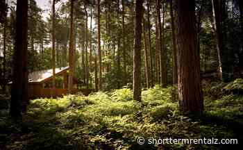 Sykes buys Forest Holidays to create diversified holiday specialist group - Short Term Rentalz