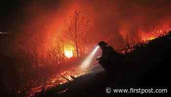 Watch | IFS officer shares glimpses of challenges posed by forest fires in hilly terrains - Firstpost