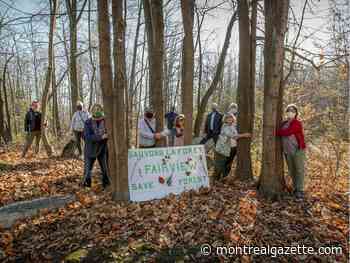 Save Fairview Forest group wants development freeze to remain - Montreal Gazette