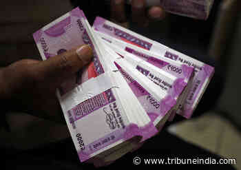 Forest corpn lost Rs 249 crore, says Comptroller & Auditor General - The Tribune India