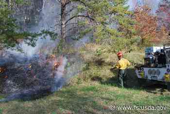 Reducing Wildfire Risk and Improving Wildlife Habitat | US Forest Service - USDA Forest Service