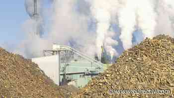 The false promise that burning forest wood can replace Russian fossil fuels - EURACTIV