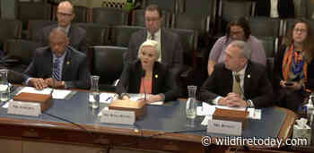 Forest Service expects to substantially increase the number of firefighters this year - Wildfire Today