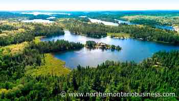 Temagami Forest Management Corp. awarded sustainable forest licence - Northern Ontario Business