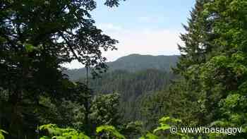 NASA Releases Breakthrough Forest Biomass-Carbon Product - NASA