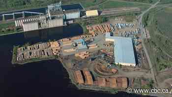 Worker dead following incident at Resolute Forest Products sawmill in Ignace, Ont. - CBC.ca