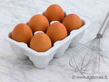 Uova: proprietà e benefici per i senior