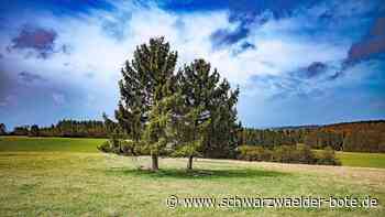 Biotopverbundplanung in Nagold: Der OB beteuert: "Eine ultimative Kernaufgabe der Stadt"
