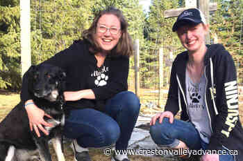 West Kootenay women selling cookies to support Canucks Autism Network – Creston Valley Advance - Creston Valley Advance