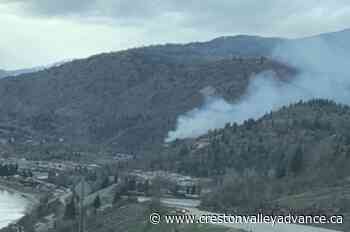 Kootenay Boundary crews knock down 2 suspicious wildfires – Creston Valley Advance - Creston Valley Advance