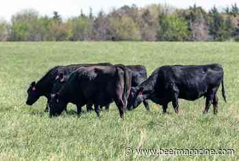 Transitioning to grass