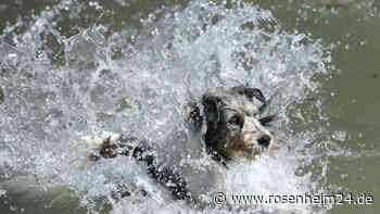 Waakirchnerin (56) und ihr Hund müssen aus Mangfall gezogen werden