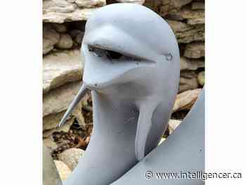 PHOTO QUIZ: Do you know where this photo was taken? - Belleville Intelligencer