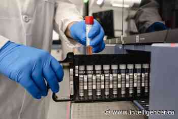 HPE health unit lists one new death, 196 COVID-19 cases by latest count - Belleville Intelligencer