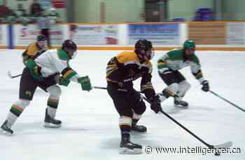 Hawks fall to Thamesford Trojans in semi-finals - Belleville Intelligencer