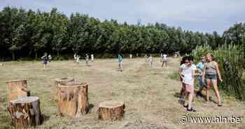 Plannen voor nieuwe wandelweg tussen Reetsesteenweg en De Reukens - Het Laatste Nieuws