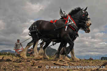 PHOTOS: Turning the sod on the 100th annual Chilliwack Plowing Match – Creston Valley Advance - Creston Valley Advance