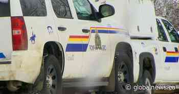 Airdrie rural RCMP investigating discovery of butchered cow carcasses