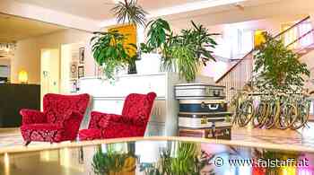 Magdas Hotel in Wien startet Crowdfunding-Kampagne