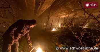Lindau: Frost bereitet Obstbauern Sorge um ihre Apfelernte - Schwäbische