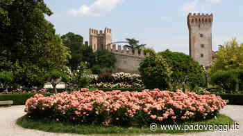 Un appuntamento irrinunciabile per chi ha il pollice verde: torna "Este in Fiore" - PadovaOggi