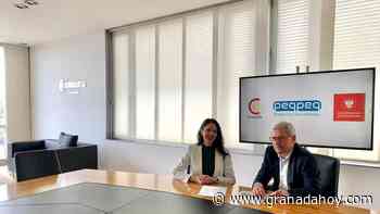 Un estudio busca en Granada puestos de trabajo más saludables, libres de CO2, virus y bacterias - Granada Hoy