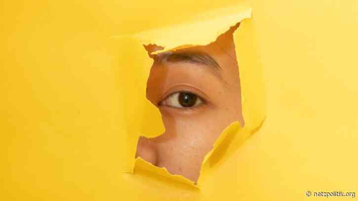 Whistleblowing mit Grenzen: Löchriger Hinweisgeberschutz