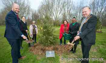 Hackney plants 70 trees to commemorate 70th day of the 70th year of the Queen's reign - News