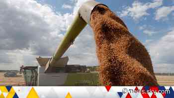 War in Ukraine is worsening food insecurity with fears it could spark conflict in other countries - Sky News