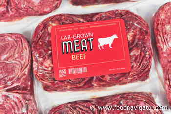 Is 'fake meat' a food system fix? IPES-Food warns on the false dawn of the protein transition - FoodNavigator.com
