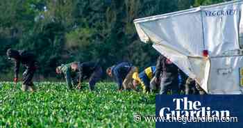 Chronic food industry worker shortfall could force prices even higher, MPs say - The Guardian