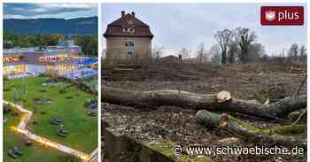 1,7 Hektar an der Therme abgeholzt – doch nicht für alles gab es eine Genehmigung - Schwäbische