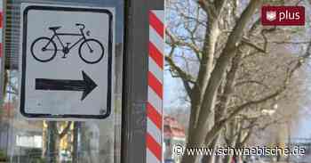 Unbeliebter Radweg: Stadt Lindau investiert knapp 200.000 Euro - Schwäbische