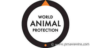 Report exposes damaging health impacts from factory farms expected to soar in United States alongside rising demand for meat