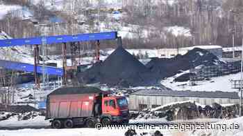 Was ein Importstopp russischer Kohle bedeutet