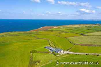 One of 'the best coastal residences anywhere in Cornwall' is up for sale for the first time ever - Country Life
