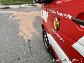 Eppingen: Kilometerlange Dieselspur - Eppingen.org