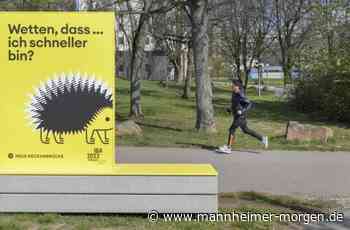 Nach zehn Jahren verabschiedet sich die IBA aus Heidelberg - Heidelberg - Nachrichten und Informationen - Mannheimer Morgen